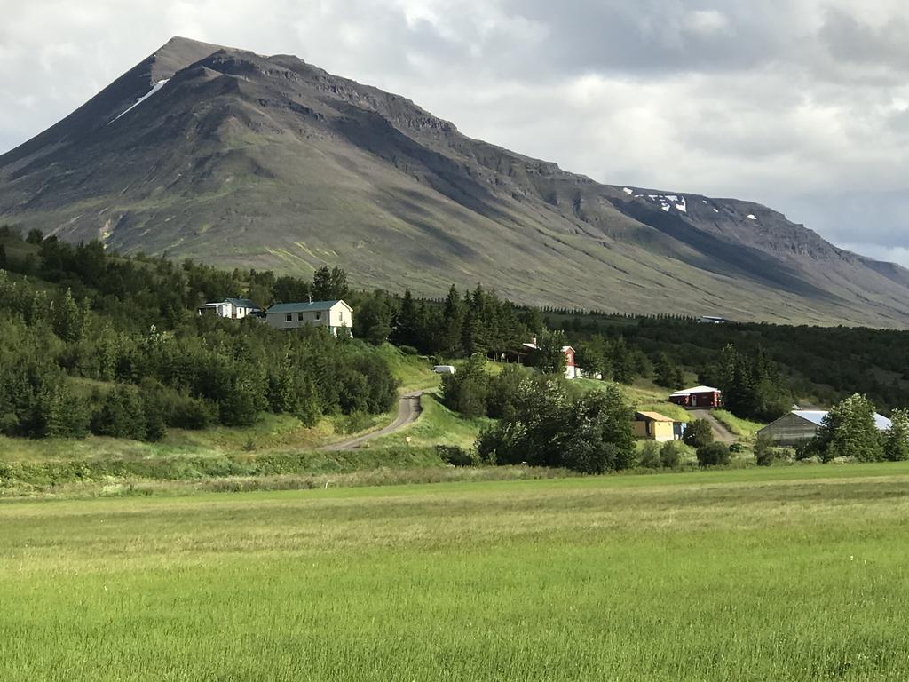 Brunalaug Guesthouse - Holiday Home Eyjafjaroarsveit Eksteriør billede